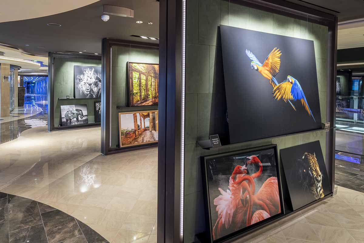 Image Art gallery 