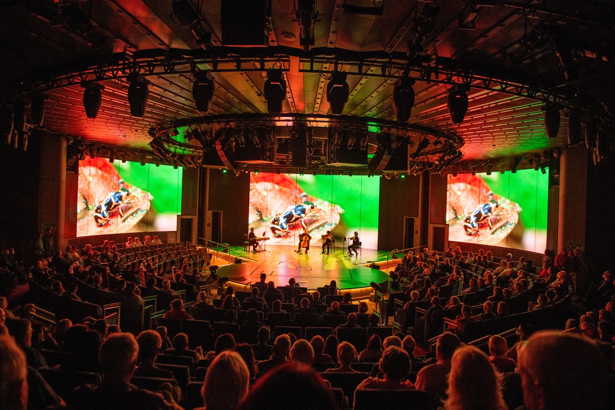 Image World Stage